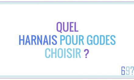 Quel harnais pour godes choisir ?