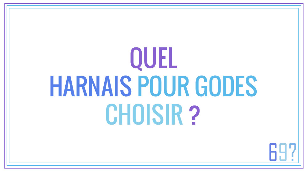 Quel harnais pour godes choisir ?